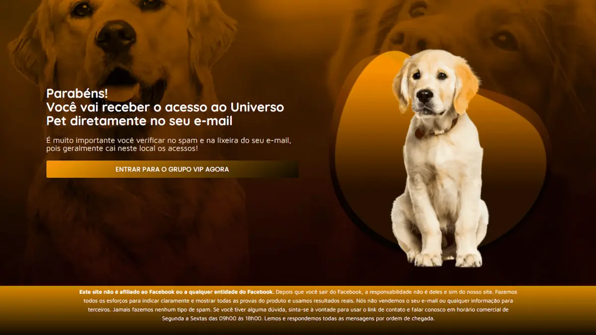 48.webp